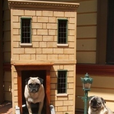 будка для собаки из пеноблоков